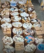 Ecom Undeliverables SMALLS Tall Truckload - Image 4