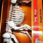 Wholesale Halloween Closeouts pallets - Image 4