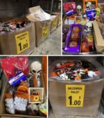 Wholesale Halloween Closeouts pallets - Image 5