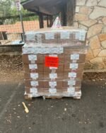 Pokémon Liquidation Pallet – 700+ Brand New Items | Wholesale Collectibles, TCG, Plush & More